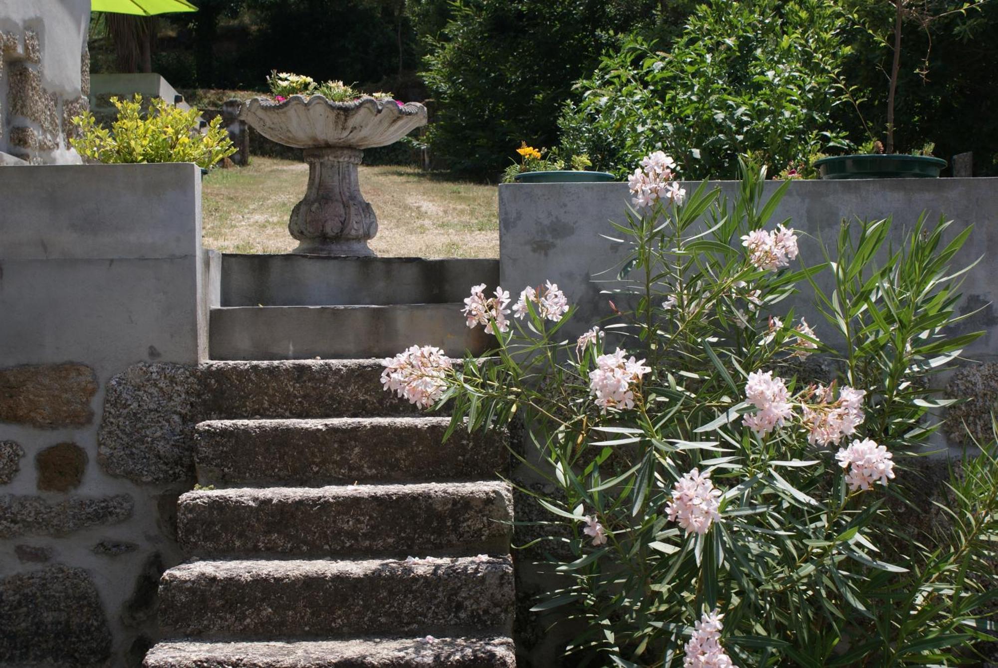 Quinta Da Encavalada Villa Nogueira do Cravo Dış mekan fotoğraf